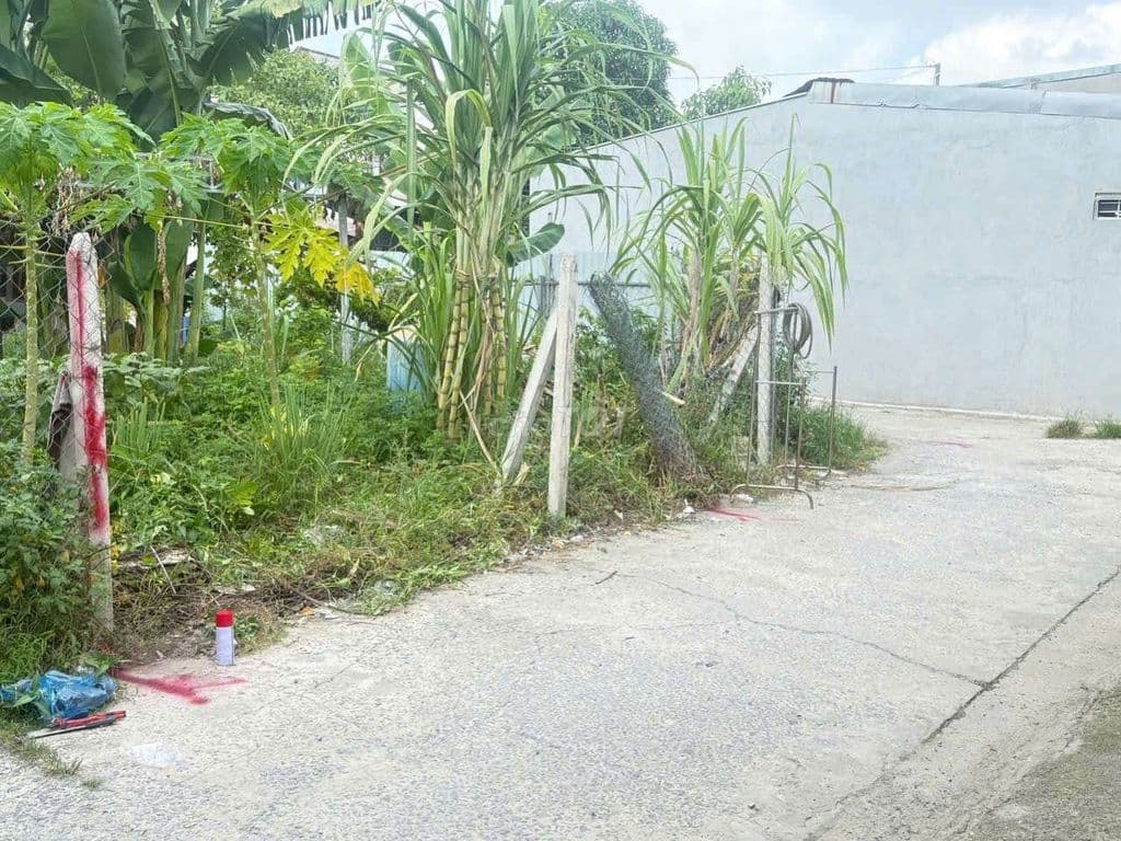 đât thổ cư giá 2,85 tỷ , hem oto thông - Ảnh 2