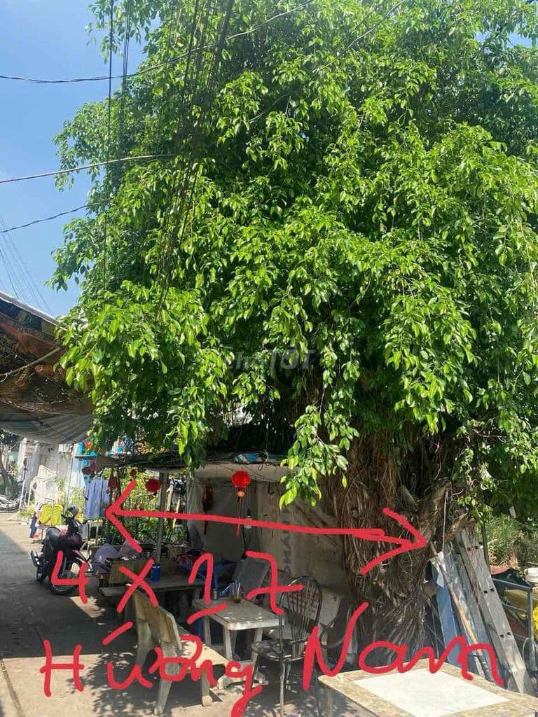 Bán đất hẻm 258/ chính chủ, 4x17 - Ảnh 3
