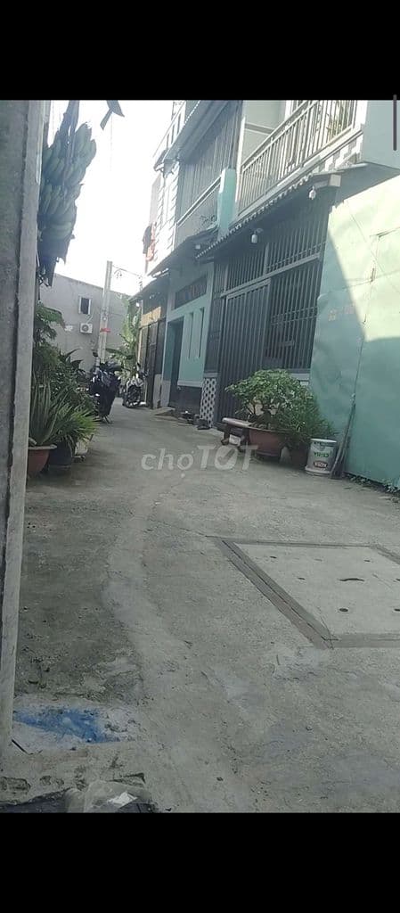 Đất thổ cư có nhà tôn,vườn cây mát mẻ - Ảnh 3