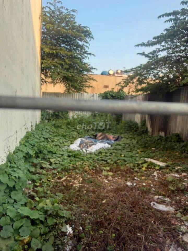 bán đất thổ cư shr tl 29 gần chợ cầu đồng q12 giá 3ty050 - Ảnh 2