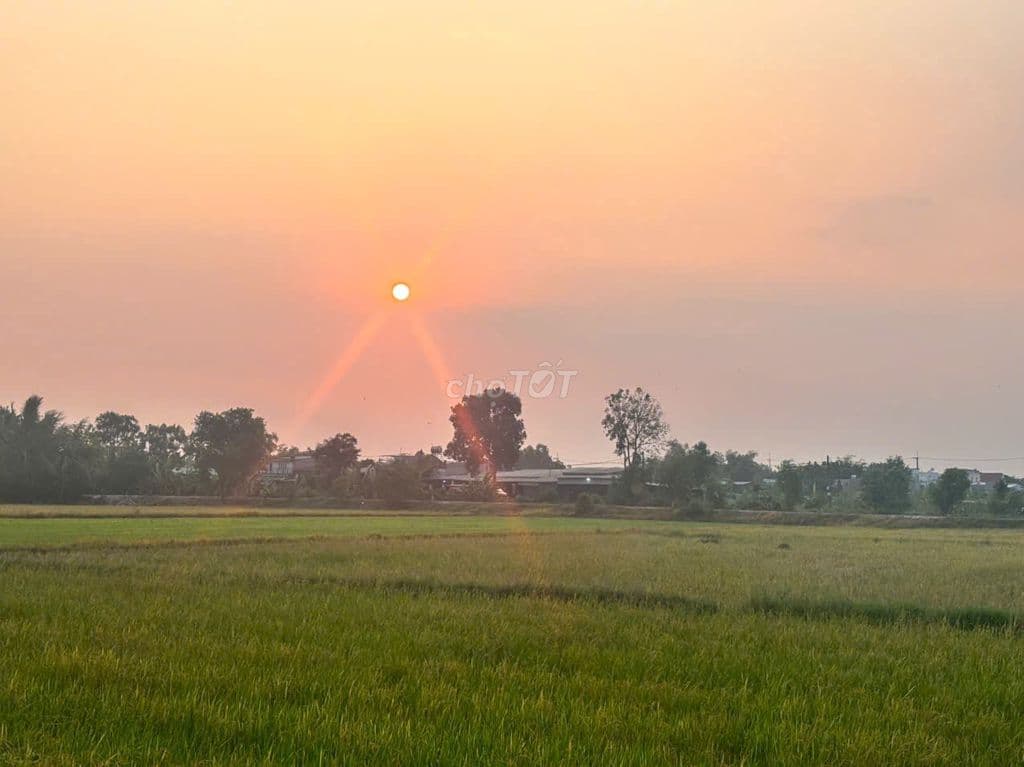 Lô đất 1 sẹc Giồng Cát, diện tích 568m2 khu dân cư ,xã Tân Phú Trung - Ảnh 2