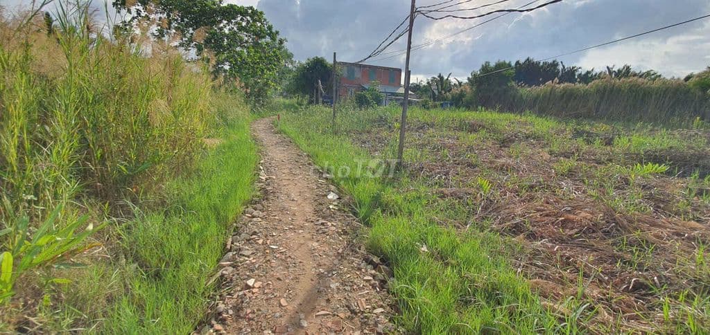 520 m2 hẻm Lê Văn Lương
