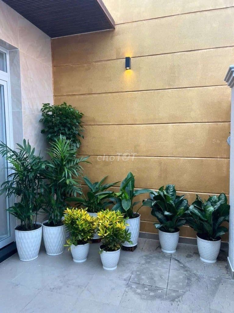 BÁN NHÀ CẤP 4 MƠI ĐẸP HẺM XE HƠI 4M 1902 LÊ VĂN LƯONG SỔ RIÊNG - Ảnh 2
