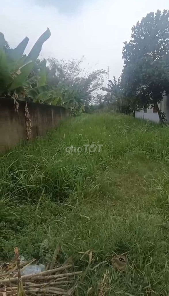 Chính Chủ Cần Bán Gấp _ Giá Tốt