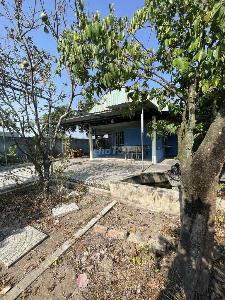 Nhà vườn 576m khu trại dê Đời Tân. Rạch Cây Xanh - Ảnh 3