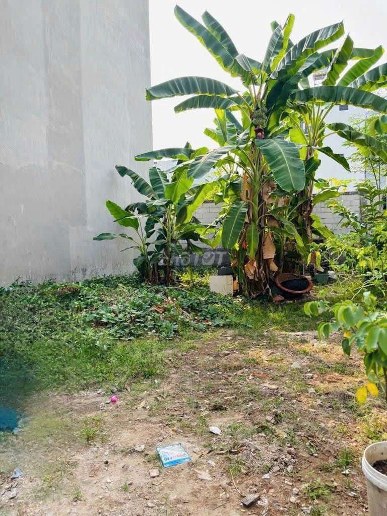 bán đất hiện hữu be ngang 8 m lê văn lương phước kiểng đường xe hơi - Ảnh 2