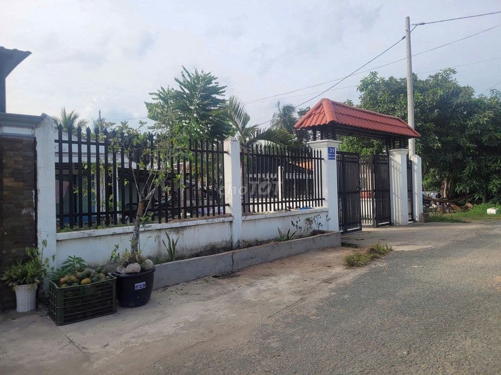 Đường Nguyễn Thị Nghiêm, dt 411m, có 102m thổ, xã Bình Mỹ. - Ảnh 2