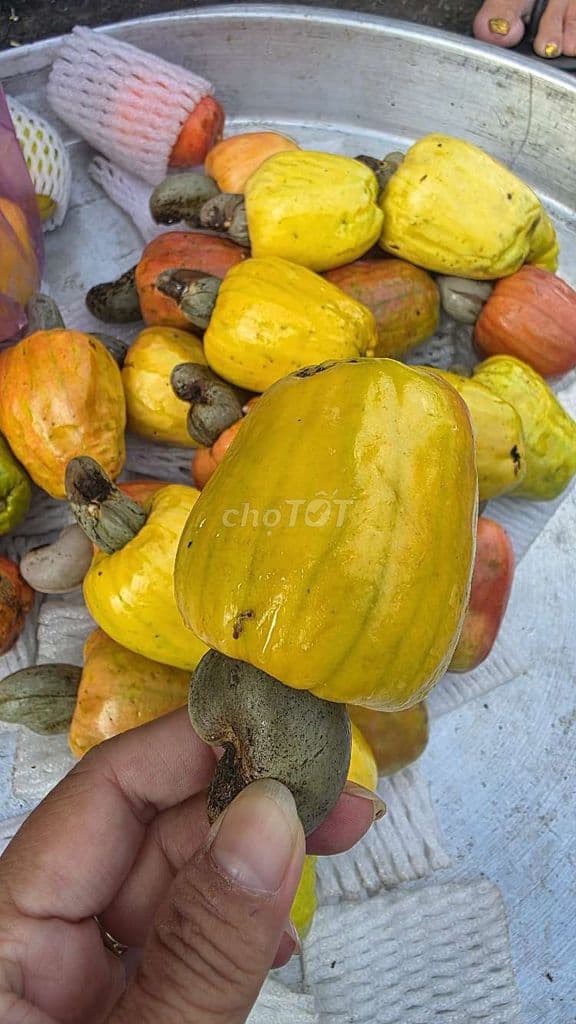 Bán nhà hẻm oto Nguyễn Quý Yêm nở hậu - Ảnh 2