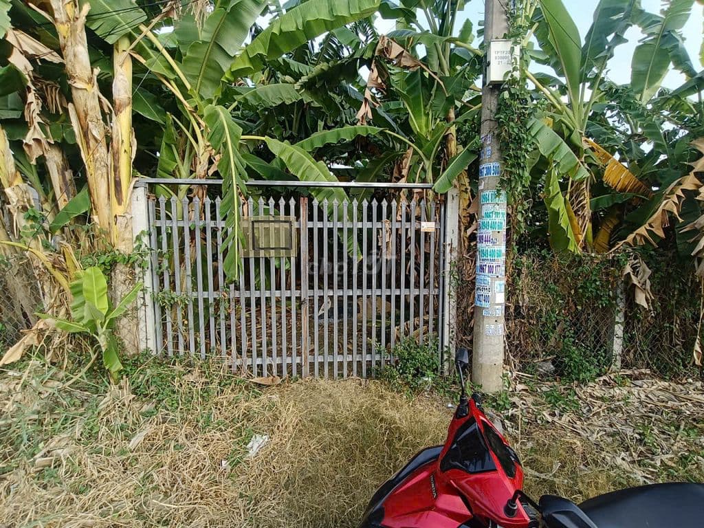 BÁN LÔ ĐẤT MẶT TIỀN TRẦN QUANG ĐẠO X.TÂN THÔNG HỘI 400M2 GIÁ 900TR