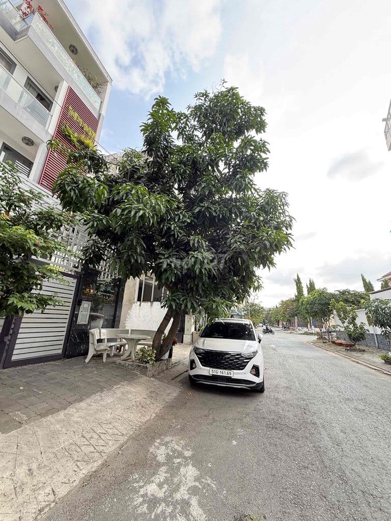 nhà mặt tiền đường nhựa 8m - Ảnh 3