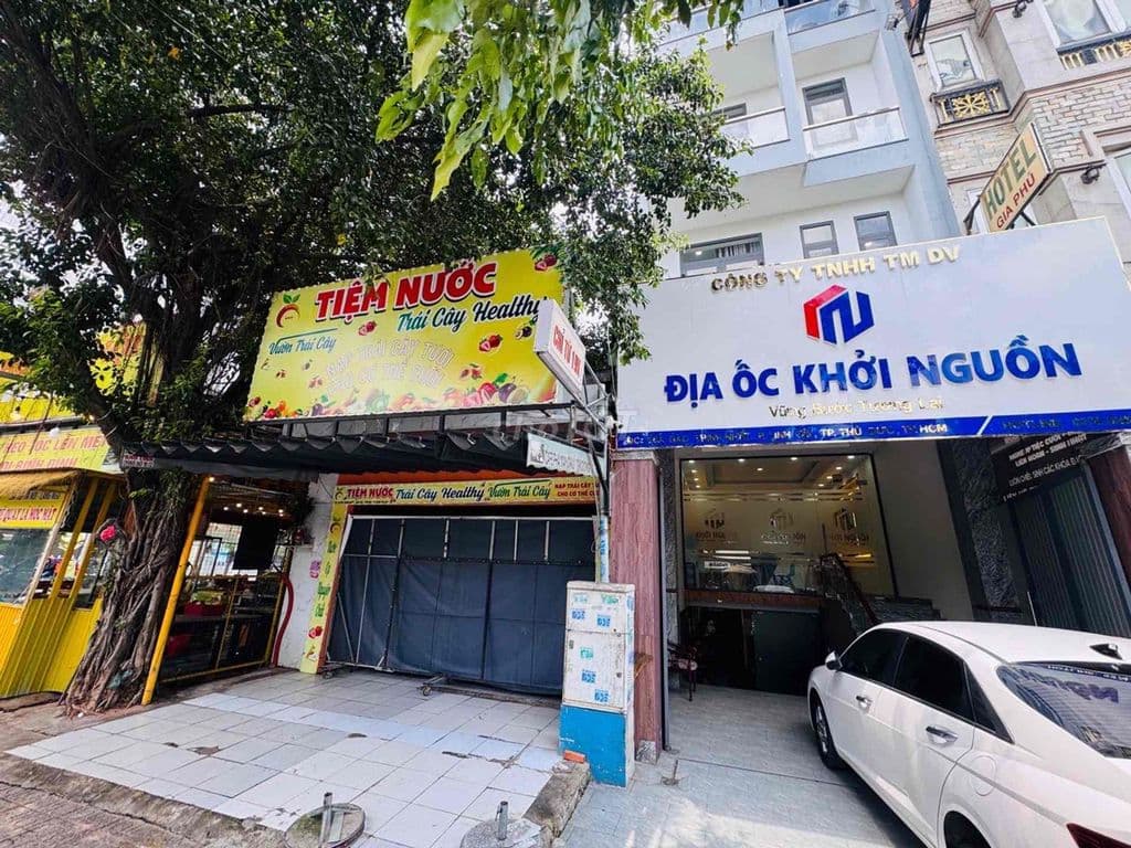MẶT TIỀN ĐÀO TRINH NHẤT