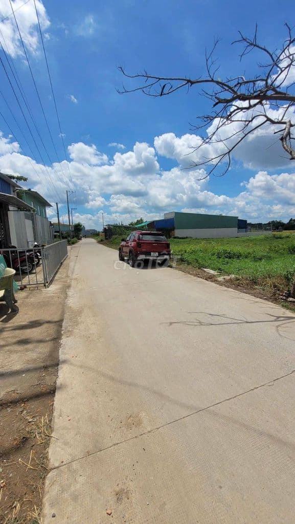 ĐẤT BÌNH CHÁNH GIÁ RẺ 98M2/1,15 TỶ. GẦN CHỢ BÁN GẤP CÓ BỚT LỘC - Ảnh 3
