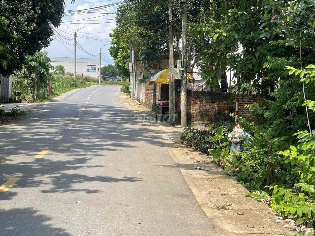Bán 506m2 Đất Xây Kho Xưởng,Biệt Thự - Ảnh 3