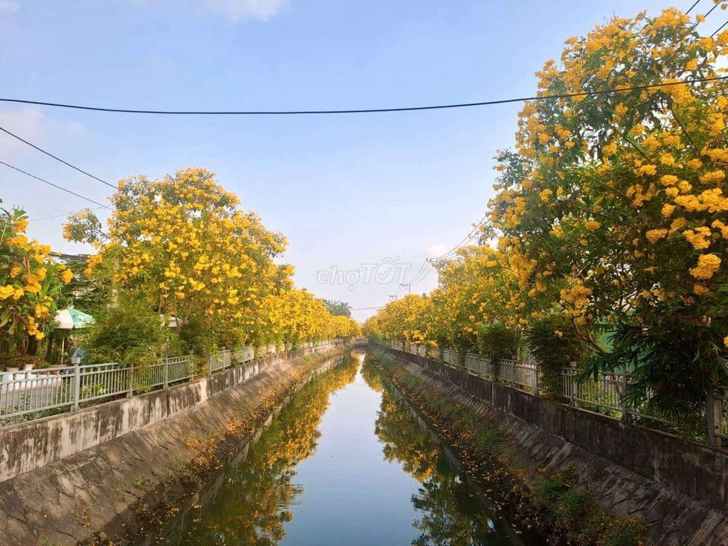 Đất Lô Góc Hiếm Thạnh Lộc 37 _ 165m2 | 8.3m x 20m | _ Hẻm 6m - Ảnh 3