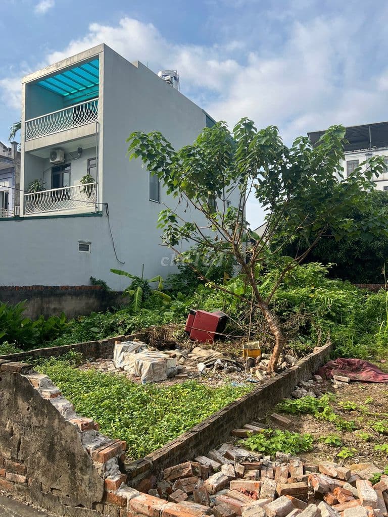 BÁN ĐẤT KIÊU KỴ – GIA LÂM – VỊ TRÍ ĐẸP, NGÕ THÔNG, Ô TÔ VÀO TẬN NƠI - Ảnh 3