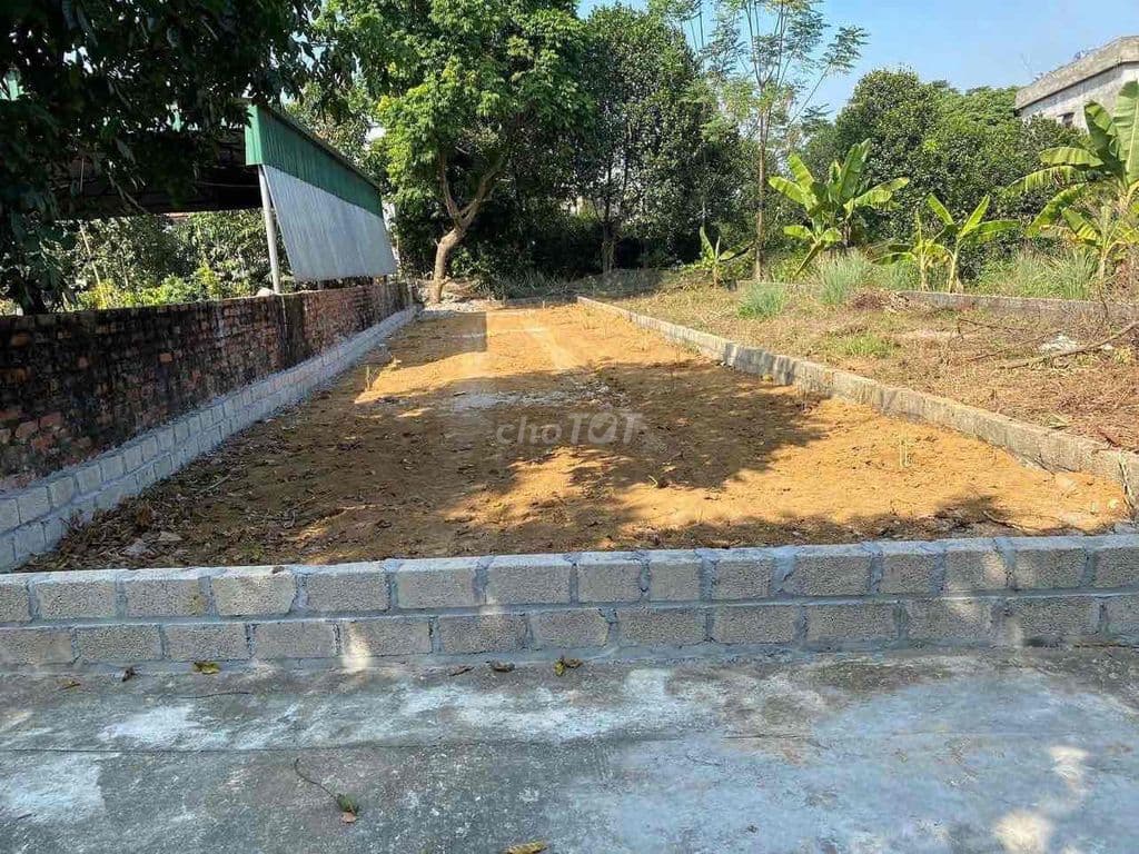 BÁN GẤP MẢNH ĐẤT TẠI TÂN XÃ HƠN 100m2 giá 30tr/m Dân cư đông đúc - Ảnh 2
