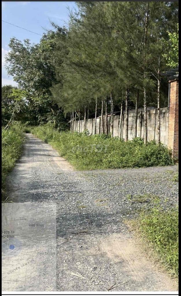 Bán 4150m2 đất, nhà, trang trại, có 300m2 TC, Phú Hoà Đông, Củ Chi - Ảnh 3