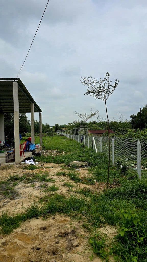 Bán đất thổ vườn Thái Mỹ giá đẹp - Ảnh 3