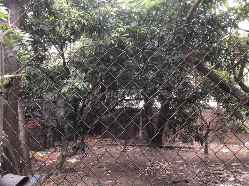 80m² đất ở thổ cư, Lê Trọng Tấn, La Dương, Dương Nội, Hà Đông, HN mTG. - Ảnh 3