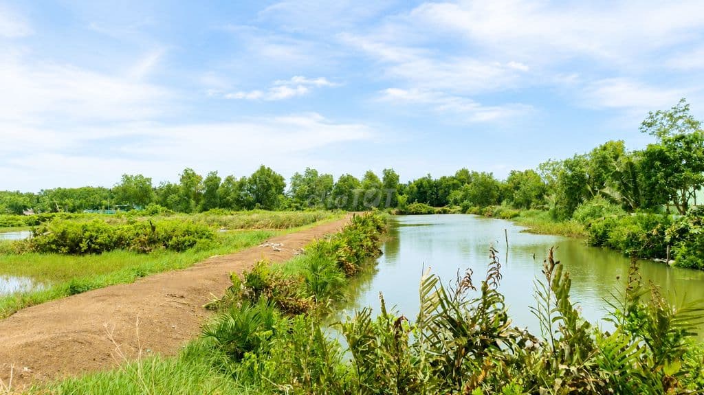 🌿 BÁN ĐẤT NÔNG NGHIỆP TIỀM NĂNG ĐẦU TƯ TẠI NHƠN ĐỨC – NHÀ BÈ 🌿 - Ảnh 2