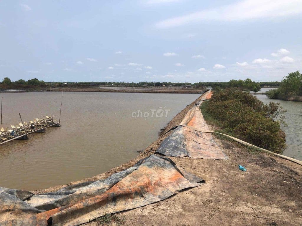 Chính chủ bán đất Thuỷ Sản Lý Nhơn Cần Giờ - Ảnh 2