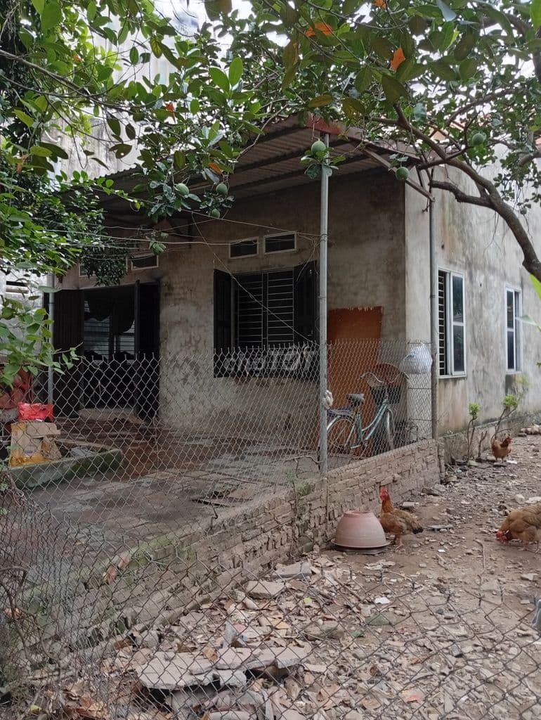 Đất sổ đỏ full thổ cư 302m2 tại Cổ loa, Đông Anh - Ảnh 2