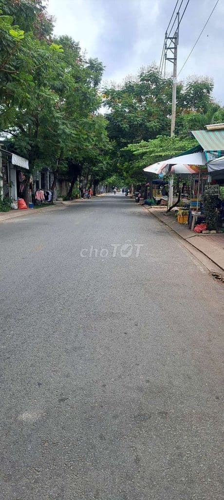 khu đất 15.000m2. Giá:10tr/m2, sau UB xã Bà Điểm - Ảnh 3
