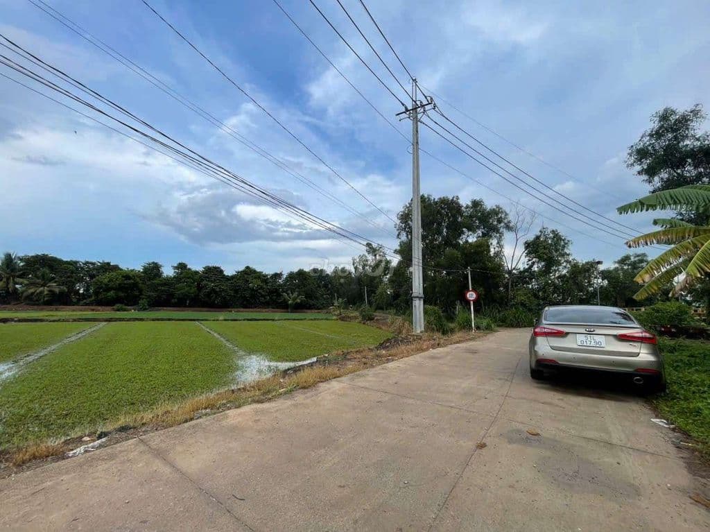 Bán lô đất mặt kênh đường xe hơi xã nhị bình, Huyện Hóc Môn, dt 1626m - Ảnh 2