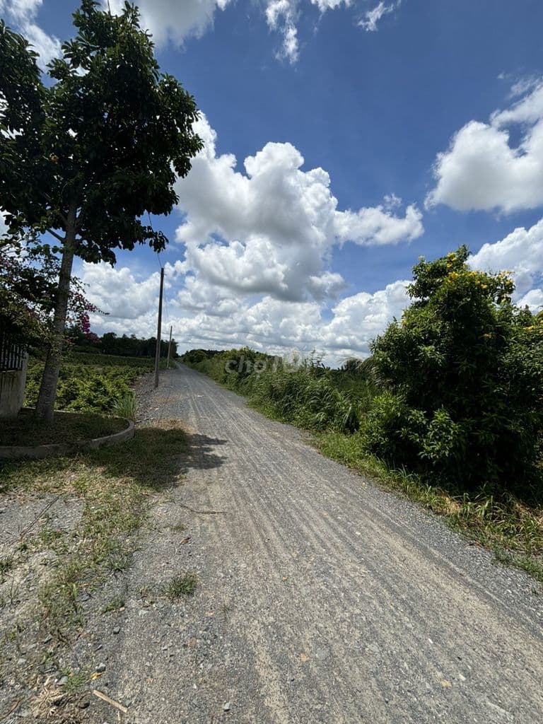 Bán đất vườn Lê Minh Xuân, Bình Chánh đường Kênh 10 - Ảnh 3