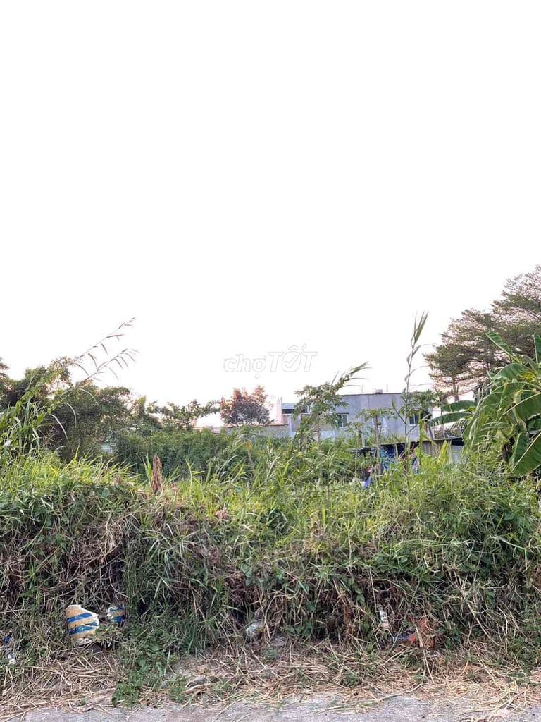 CỰC HIẾM-NHỈNH 3TỶ -HẺM XE TẢI 105M2 ĐẤT THỔ CƯ - Ảnh 3