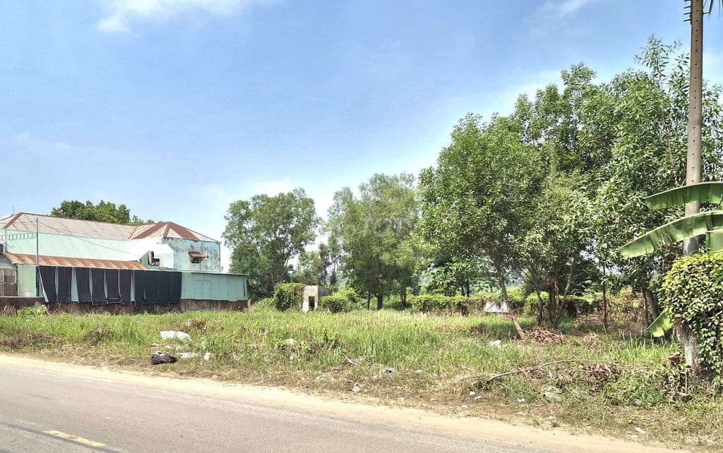 Bán Gấp 3 Lô Mặt tiền Nguyễn Xiển – Quận 9 | Sát Vành Đai 3 - Ảnh 3