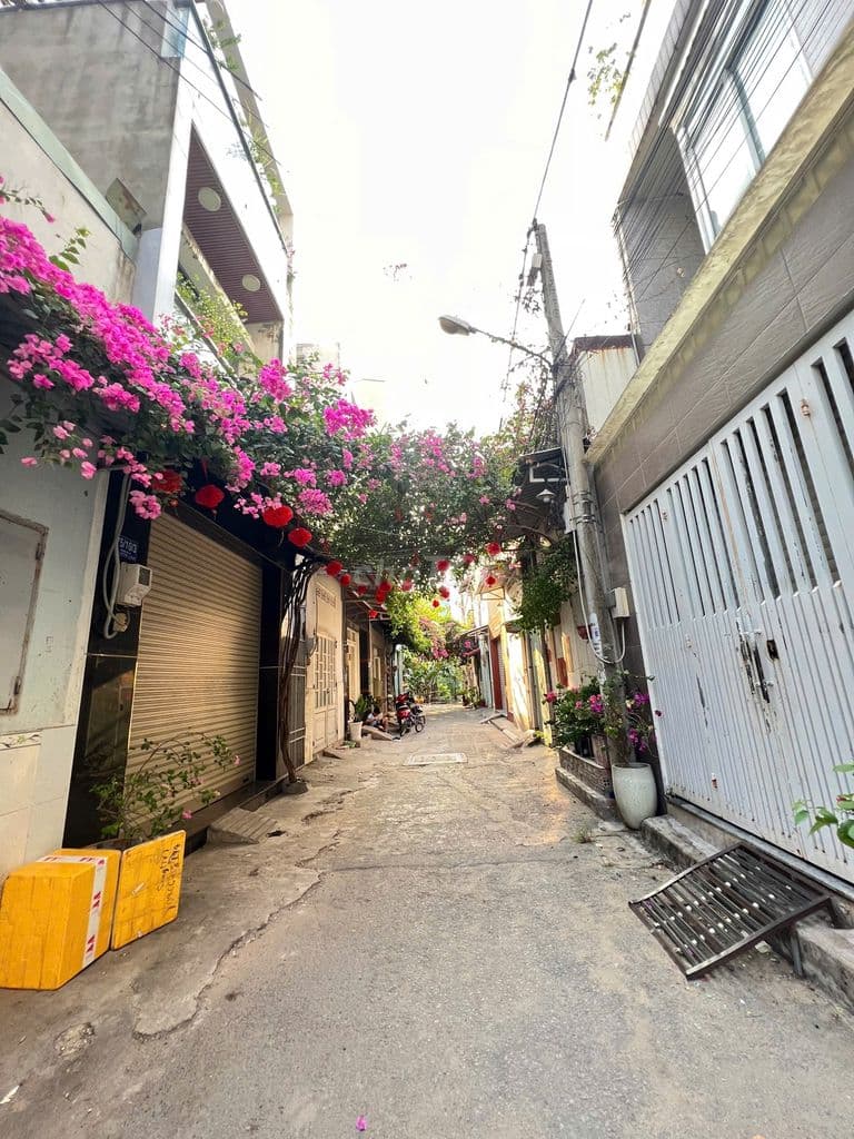 Đất siêu sạch