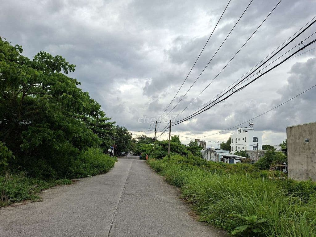 Bán nhanh đất thổ cư đường 12m Nguyễn Văn Tạo, Nhà Bè - Ảnh 2