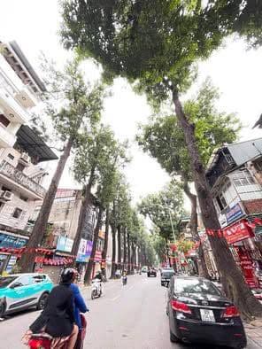 bán nhà phố LÒ ĐÚC HAI BÀ TRƯNG 4 tầng - Ảnh 2