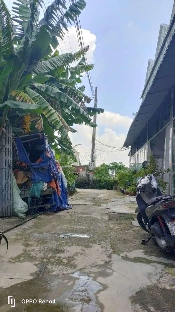 BÁN NHÀ CÁCH TRỢ, TRƯỜNG, BV CHỈ 200M
