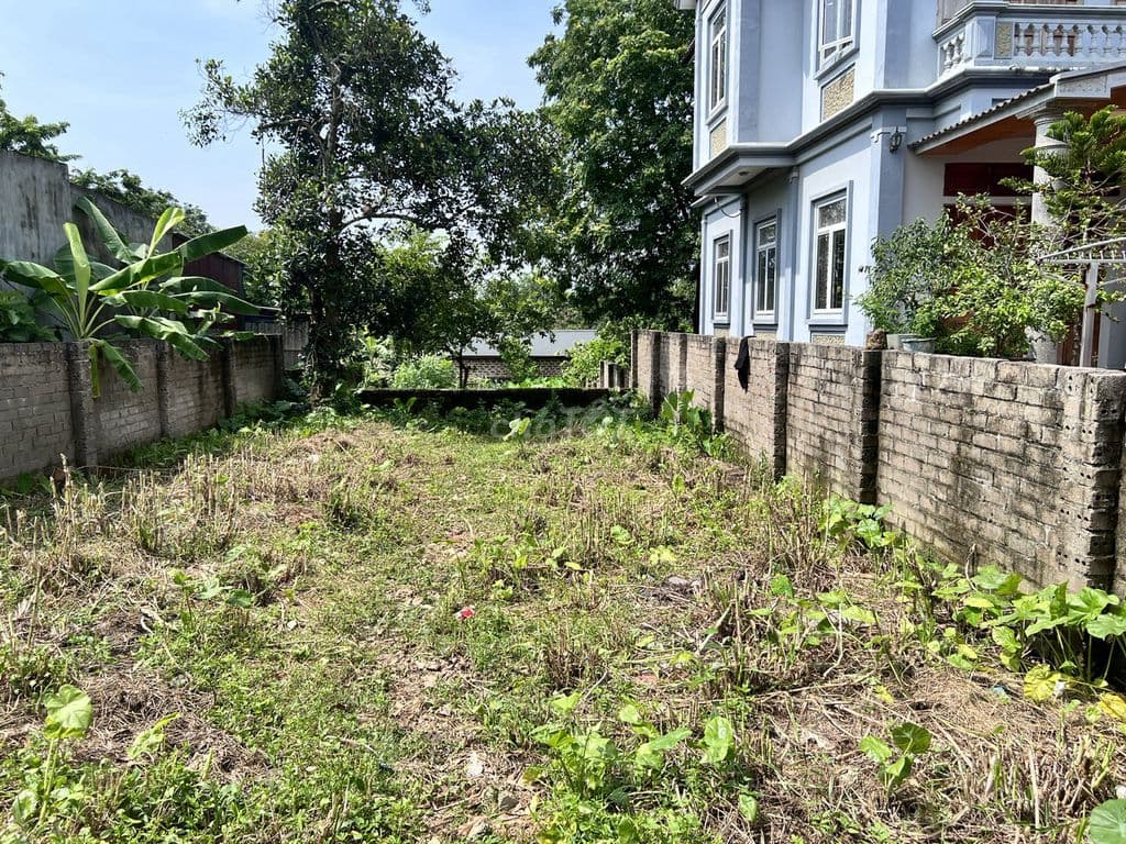 Em chính chủ đất cần bán đất tại Tây vị - Tùng Thiện - Sơn Tây.