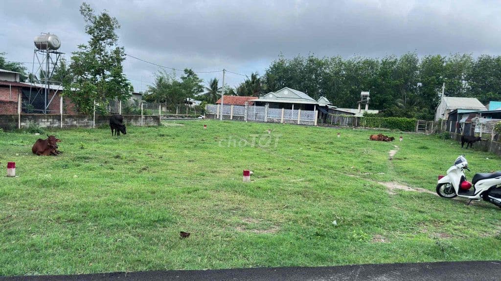 Bán 1 xẹt đường Trung Lập, kế tạp hoá Đỗ Trang, đường nhựa 8m