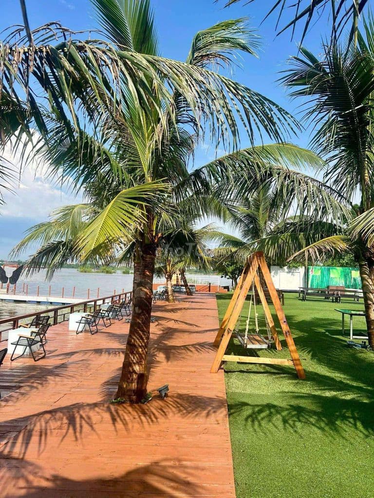 CẦN BÁN TÒA NHÀ 8 TẦNG MẶT HỒ TÂY NHẬT CHIÊU - Ảnh 3