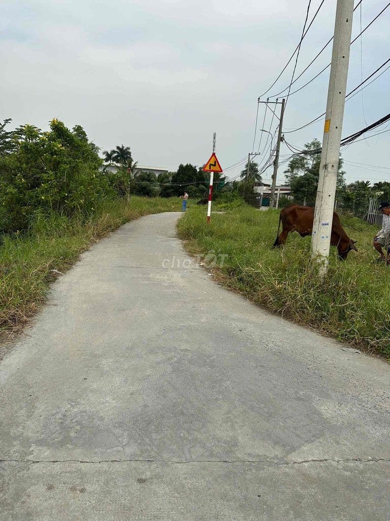 HẠ GIÁ Bán gấp góc 2MT 173m2 giá 2.9ti xã An Phú Tây - Ảnh 2