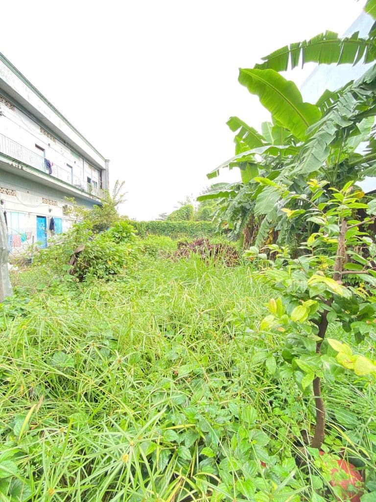 ĐẤTTHỔCƯ Đ HƯƠNGLỘ80B, Phường TTH,Q.12,dt100,9m2(5mx20m).Hẻm8m,💰6,1Tỷ - Ảnh 2