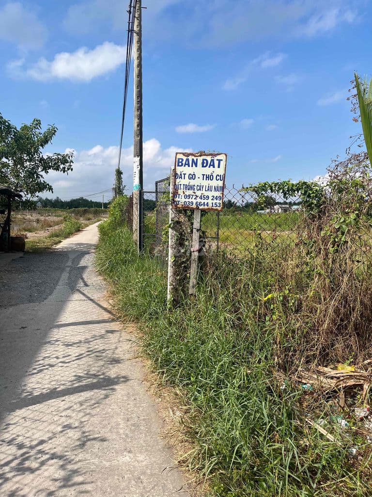 bán đất hàng năm tại bình khánh cần gio