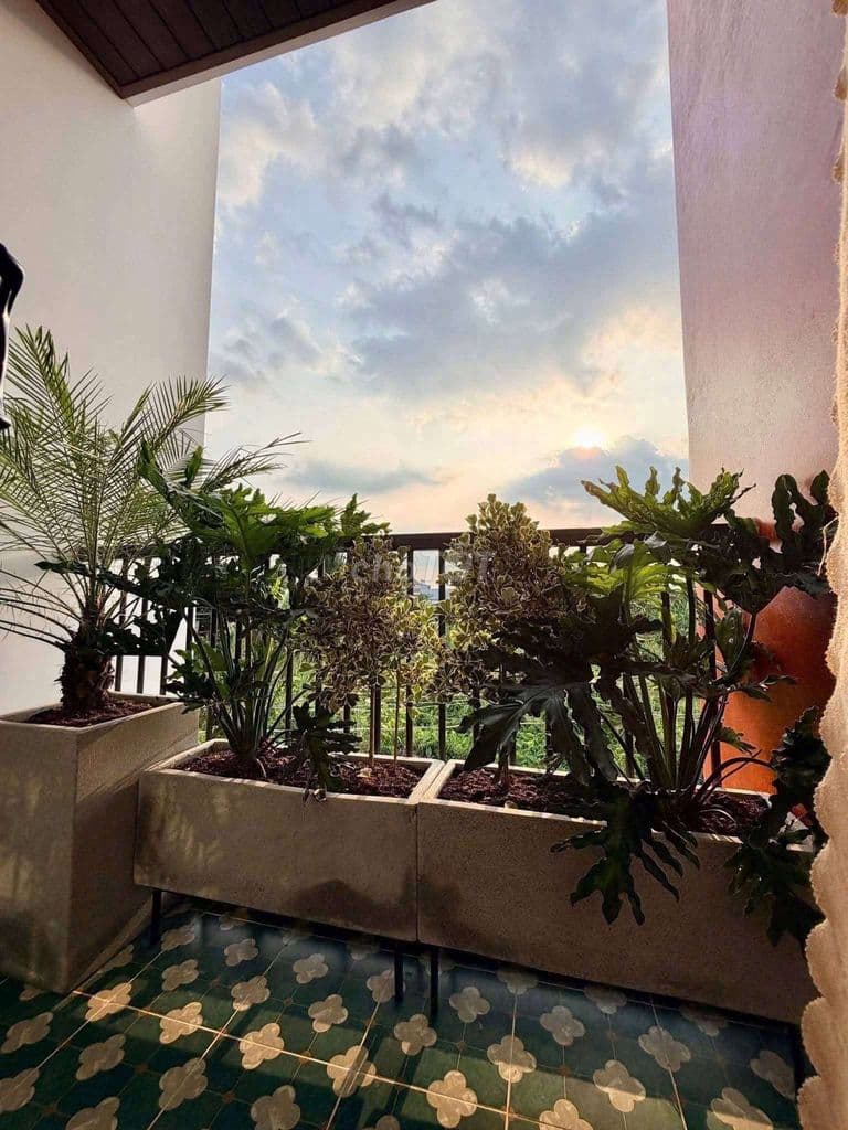 Cần Thanh Lý Nhà 1 trệt 1 lầu _Giá 1tỷ618_ Đường Đoàn Nguyễn Tuấn - Ảnh 3