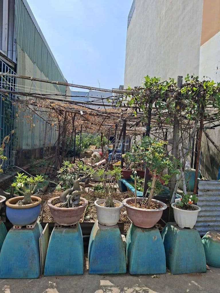 1. ĐẤT BÌNH TRƯNG ĐÔNG NGANG 5M – ĐƯỜNG 8M – GIÁ CHỈ 8.2 TỶ CHỐT NHANH - Ảnh 3