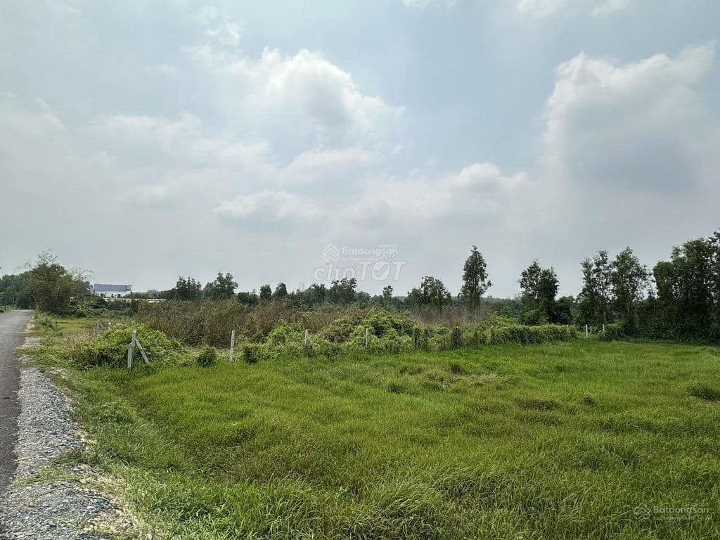 Bán lô đất mt đường nhựa 812, dt 440,7m, có 150m thổ, xã An Phú - Ảnh 2