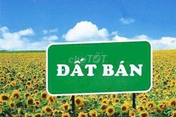 Cần tiền bán gấp lô đất thổ cư 902m2 gần ngã tư hốc môn