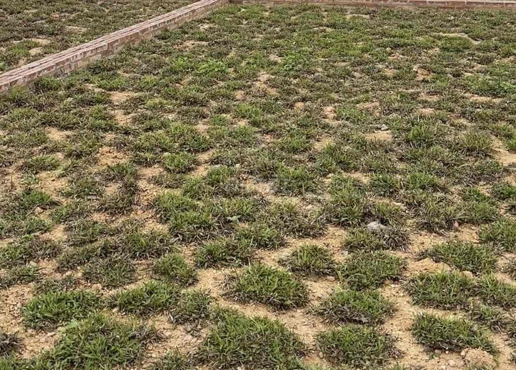 Đất 186m2 Sổ đỏ Giá Đặc Biệt Hời *** Tại Sơn Tây