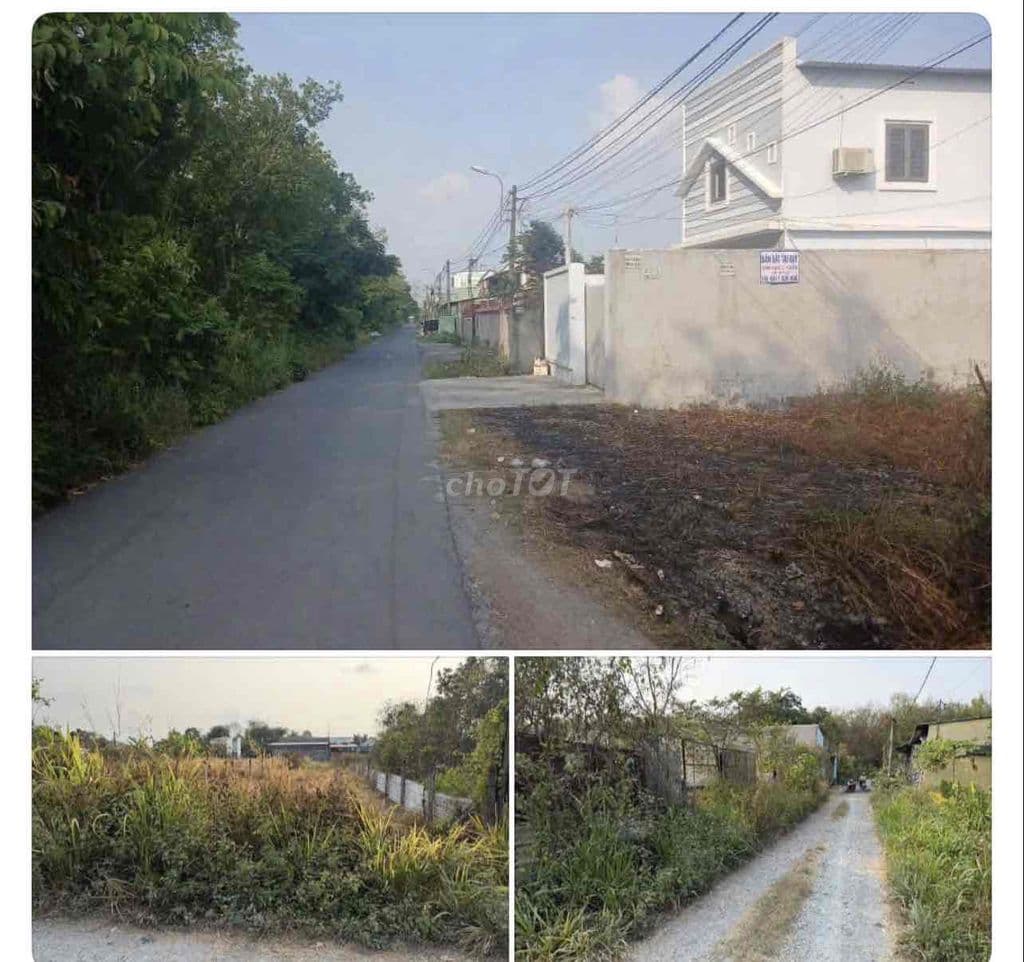 ĐẤT 100 % THỔ CƯ TIỆN XÂY NHÀ VƯỜN HAY XƯỞNG - Ảnh 3