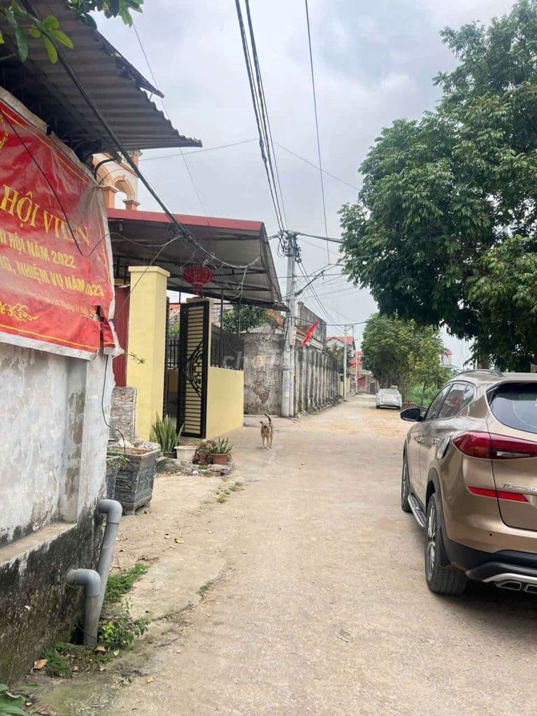 🔥 ĐẤT ĐẸP HIẾM! Bìa Làng Mạch Lũng – 60m2 –Ô Tô Tránh–View Trường Học - Ảnh 3