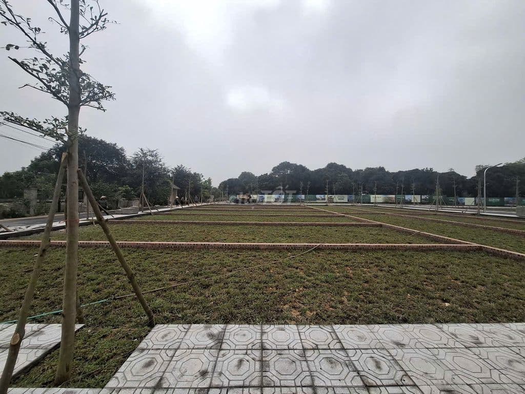 ĐẤT F0 HÒA LẠC, FULL THỔ CƯ KHU METRO, 100M2, GIÁ 3,55 TỶ - Ảnh 3