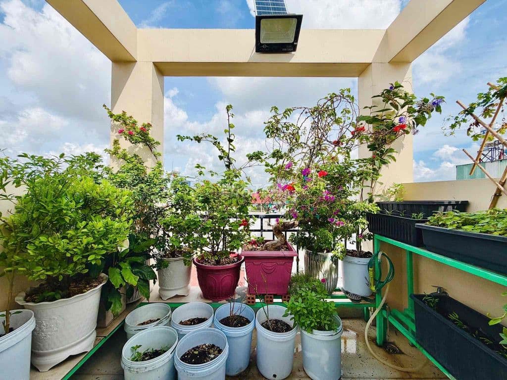 HXH thông Nguyễn Thái Sơn- Ngay ĐH Văn Lang. 5 Tầng.Doanh thu 28tr - Ảnh 3